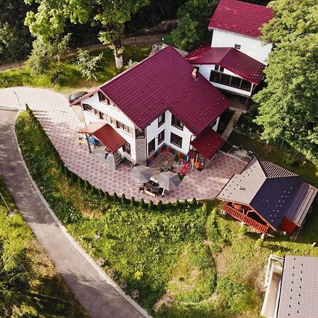 Stejarul Lui Andrei Hotel Szolnokháza Kültér fotó