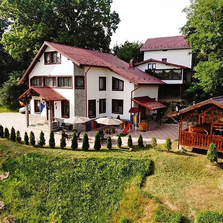 Stejarul Lui Andrei Hotel Szolnokháza Kültér fotó