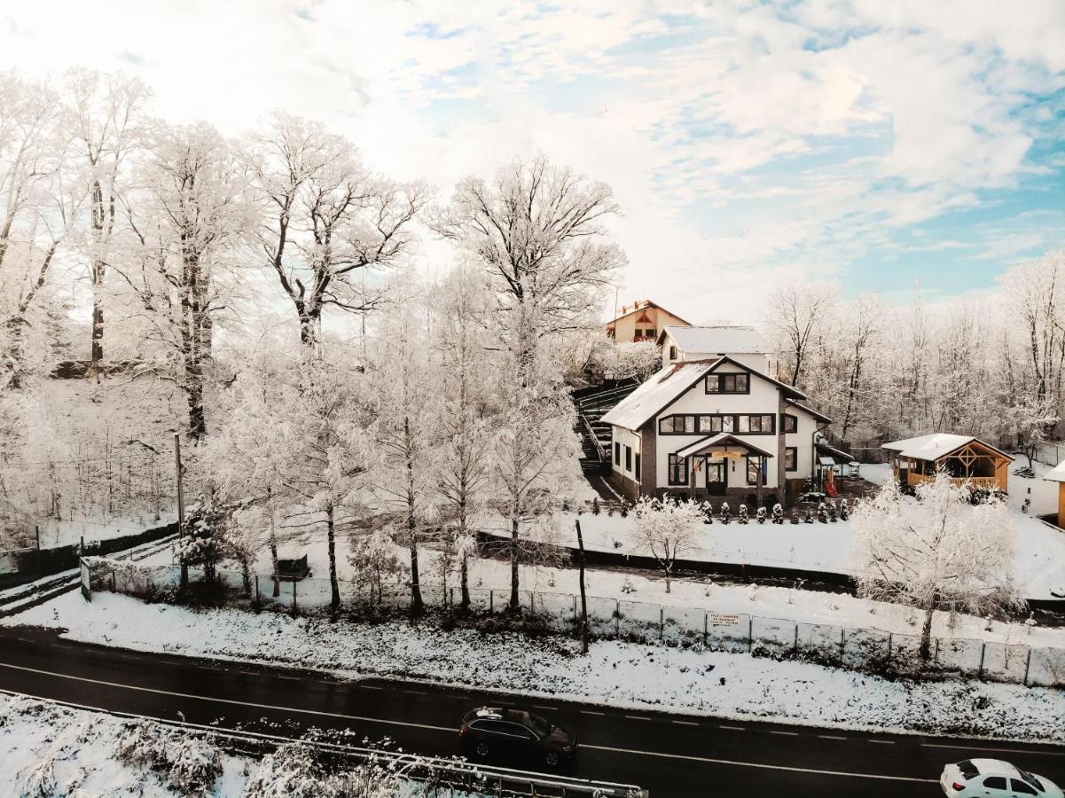 Stejarul Lui Andrei Hotel Szolnokháza Kültér fotó