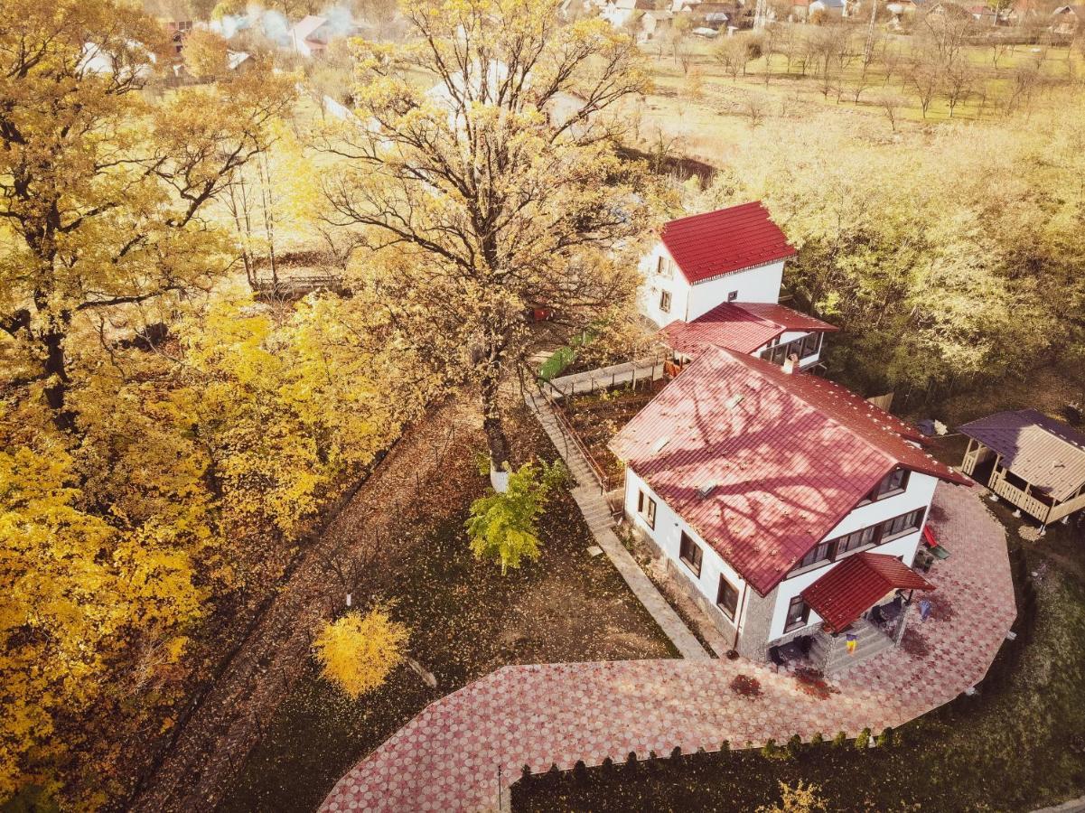 Stejarul Lui Andrei Hotel Szolnokháza Kültér fotó