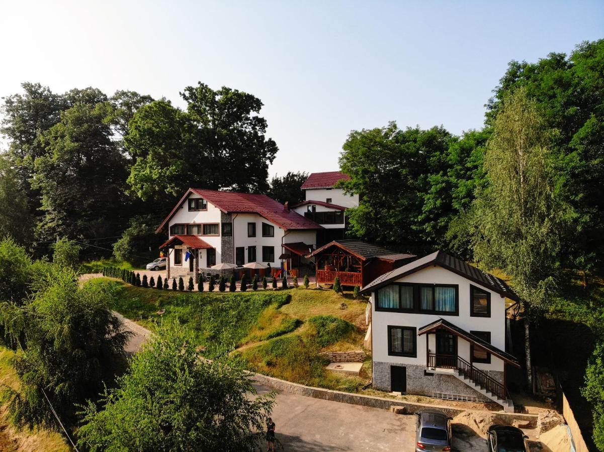 Stejarul Lui Andrei Hotel Szolnokháza Kültér fotó