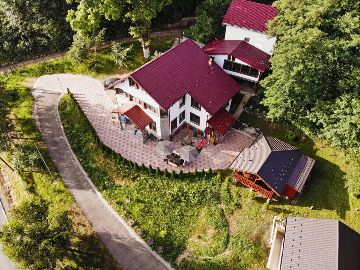 Stejarul Lui Andrei Hotel Szolnokháza Kültér fotó